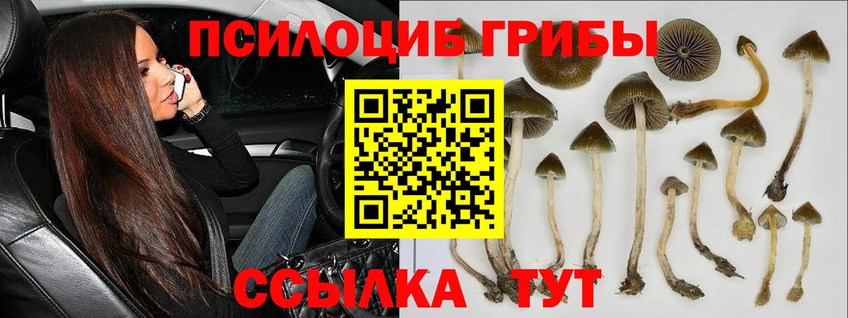 Псилоцибиновые грибы прущие грибы  Вход с VPN  Ноябрьск 