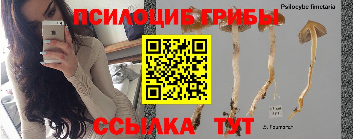 Галлюциногенные грибы ЛСД Ноябрьск
